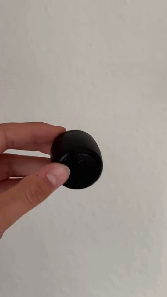 Den lille sorte bluetooth højttaler